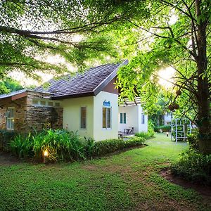 Dublex Cottage